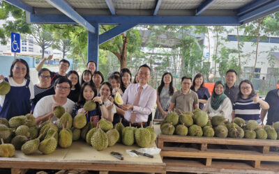 Durian Fruit Feast – Howco Singapore